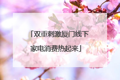 双重刺激厦门线下家电消费热起来