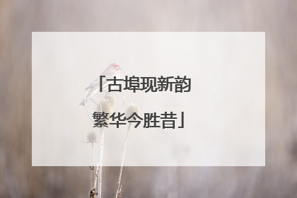 古埠现新韵 繁华今胜昔
