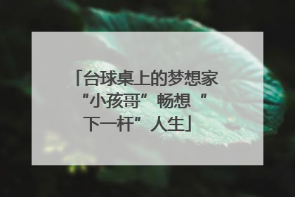 台球桌上的梦想家 “小孩哥”畅想“下一杆”人生