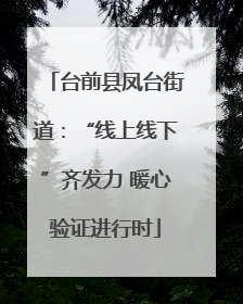 台前县凤台街道：“线上线下”齐发力 暖心验证进行时