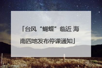 台风“蝴蝶”临近 海南四地发布停课通知