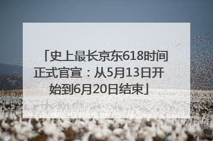 史上最长京东618时间正式官宣：从5月13日开始到6月20日结束