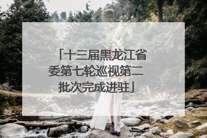 十三届黑龙江省委第七轮巡视第二批次完成进驻