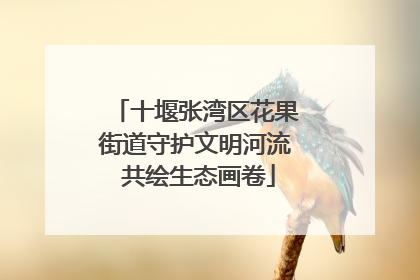 十堰张湾区花果街道守护文明河流 共绘生态画卷