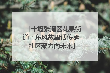 十堰张湾区花果街道：东风故里话传承 社区聚力向未来