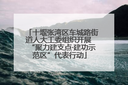 十堰张湾区车城路街道人大工委组织开展 “聚力建支点·建功示范区”代表行动
