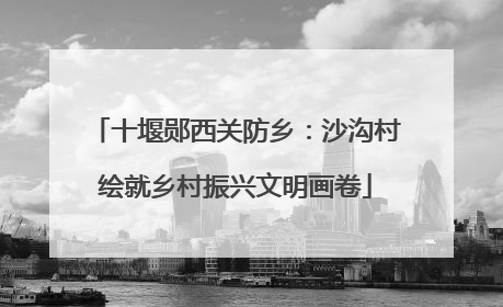 十堰郧西关防乡：沙沟村绘就乡村振兴文明画卷