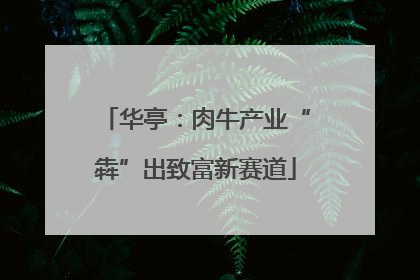 华亭：肉牛产业“犇”出致富新赛道