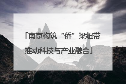 南京构筑“侨”梁纽带推动科技与产业融合