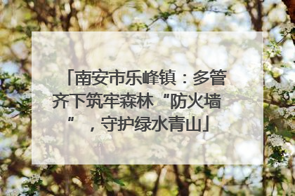 南安市乐峰镇：多管齐下筑牢森林“防火墙”，守护绿水青山