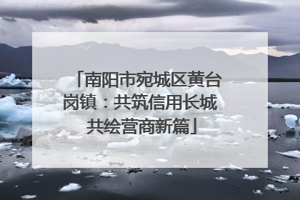 南阳市宛城区黄台岗镇：共筑信用长城 共绘营商新篇