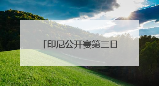 印尼公开赛第三日：国羽焦点战 石宇奇、李诗沣领衔