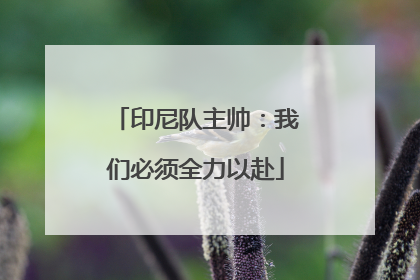 印尼队主帅：我们必须全力以赴