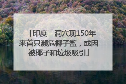 印度一洞穴现150年来首只濒危椰子蟹，或因被椰子和垃圾吸引