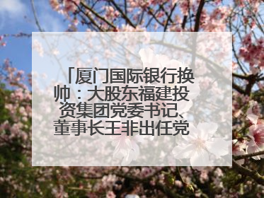 厦门国际银行换帅：大股东福建投资集团党委书记、董事长王非出任党委书记