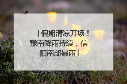 假期清凉开场！豫南降雨持续，信阳南部暴雨