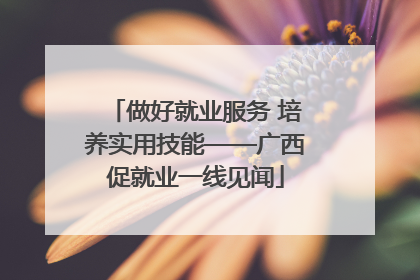 做好就业服务 培养实用技能——广西促就业一线见闻