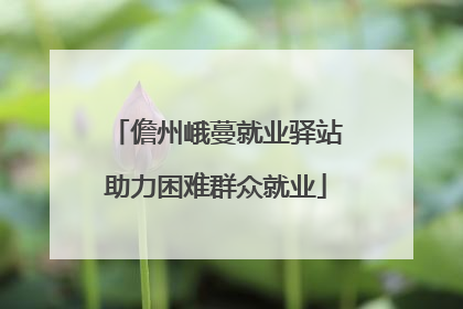 儋州峨蔓就业驿站助力困难群众就业