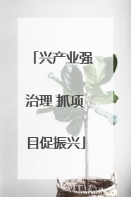 兴产业强治理 抓项目促振兴
