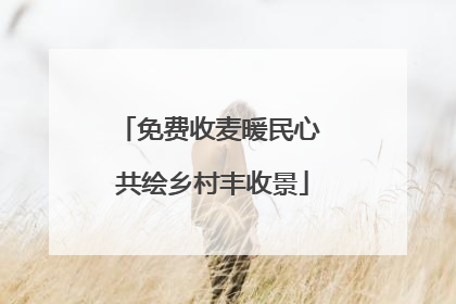 免费收麦暖民心 共绘乡村丰收景