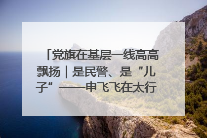 党旗在基层一线高高飘扬｜是民警、是“儿子”——申飞飞在太行山中的一线坚守