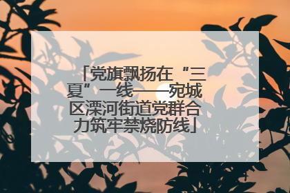 党旗飘扬在“三夏”一线——宛城区溧河街道党群合力筑牢禁烧防线