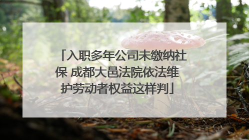 入职多年公司未缴纳社保 成都大邑法院依法维护劳动者权益这样判