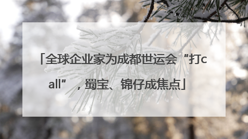 全球企业家为成都世运会“打call”，蜀宝、锦仔成焦点