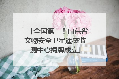 全国第一！山东省文物安全卫星遥感监测中心揭牌成立