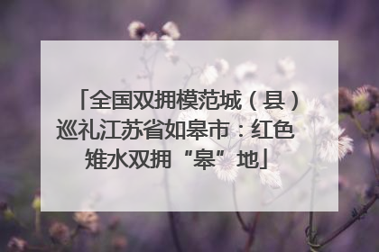 全国双拥模范城（县）巡礼江苏省如皋市：红色雉水双拥“皋”地