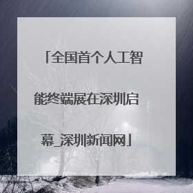 全国首个人工智能终端展在深圳启幕_深圳新闻网