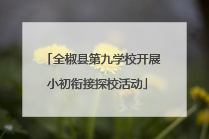 全椒县第九学校开展小初衔接探校活动