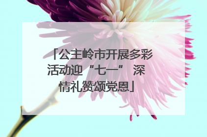 公主岭市开展多彩活动迎“七一” 深情礼赞颂党恩