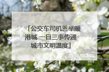 公交车司机善举暖港城 一日三事传递城市文明温度
