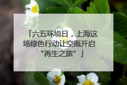六五环境日，上海这场绿色行动让空瓶开启 “再生之旅”
