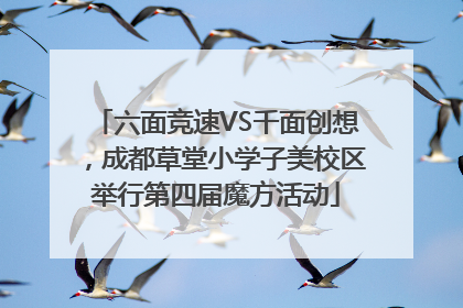 六面竞速VS千面创想，成都草堂小学子美校区举行第四届魔方活动