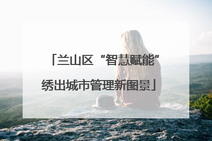 兰山区“智慧赋能”绣出城市管理新图景