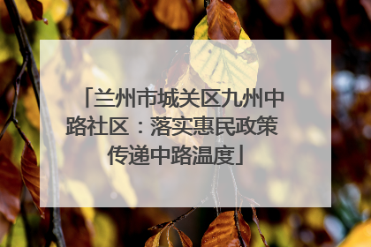 兰州市城关区九州中路社区：落实惠民政策 传递中路温度
