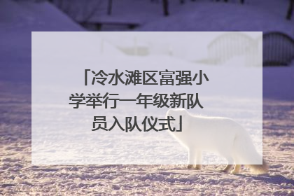 冷水滩区富强小学举行一年级新队员入队仪式
