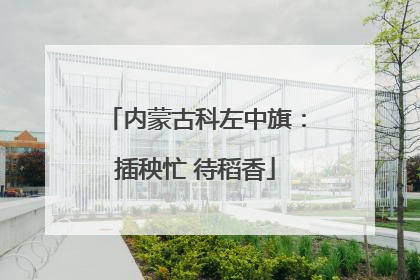 内蒙古科左中旗：插秧忙 待稻香