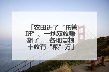 农田进了“托管班”、一地双收赚翻了……各地夏粮丰收有“粮”方