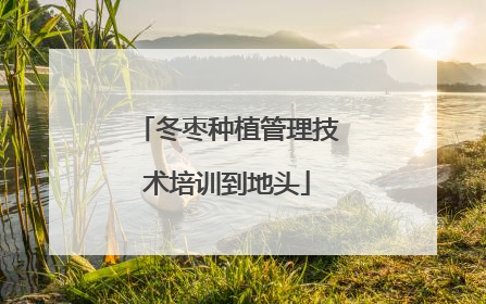 冬枣种植管理技术培训到地头