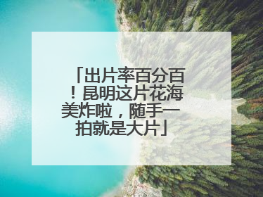 出片率百分百！昆明这片花海美炸啦，随手一拍就是大片