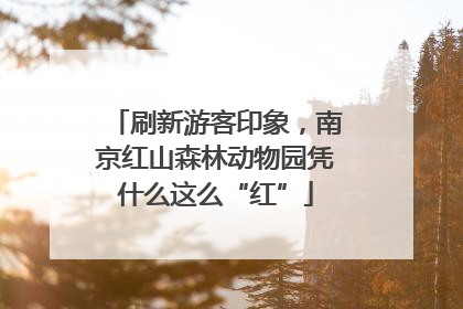 刷新游客印象，南京红山森林动物园凭什么这么“红”