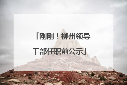 刚刚！柳州领导干部任职前公示