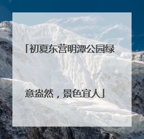 初夏东营明潭公园绿意盎然，景色宜人