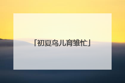 初夏鸟儿育雏忙
