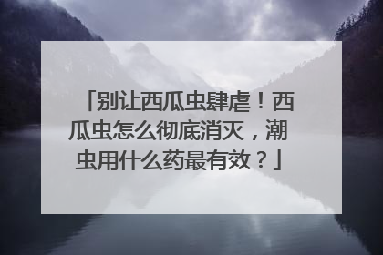 别让西瓜虫肆虐！西瓜虫怎么彻底消灭，潮虫用什么药最有效？