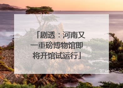 剧透：河南又一重磅博物馆即将开馆试运行