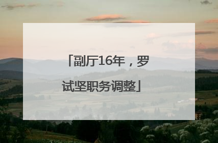 副厅16年，罗试坚职务调整